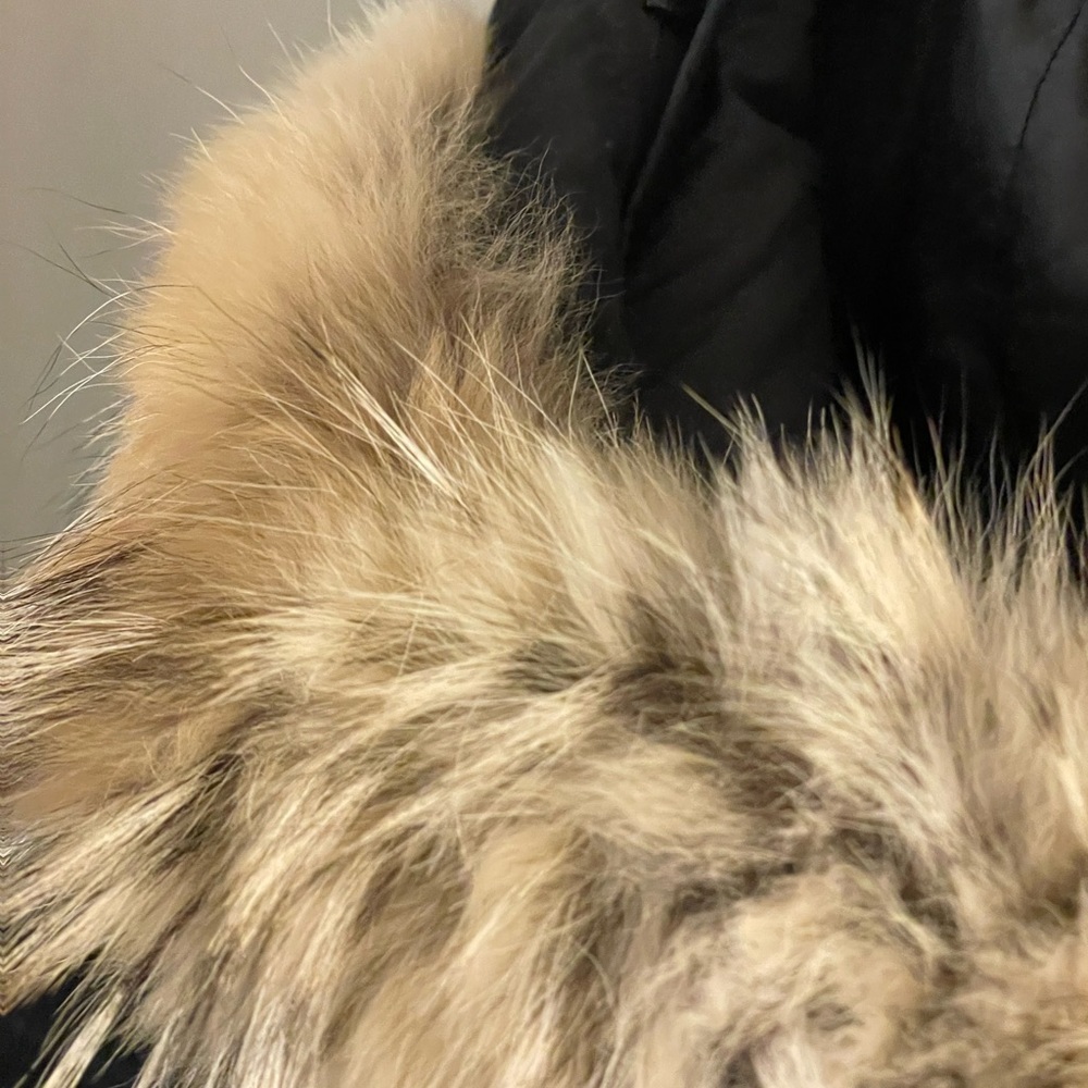 Langford Parka Black - L - Picture 14 of 15